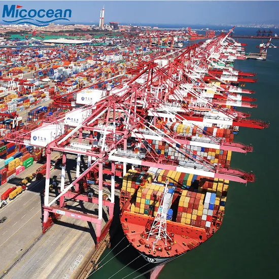 Fast Shipping Logistics Service Sea Freight From China to Ashdod, Israel