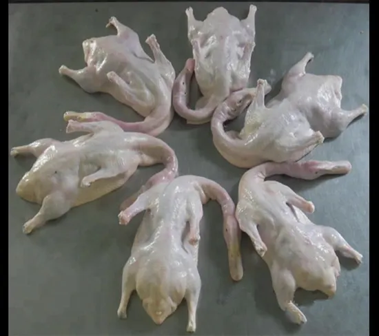 2021 Factory Direct Wholesale Duck Meat Frozen Sliced Smoked Boneless Whole Duck