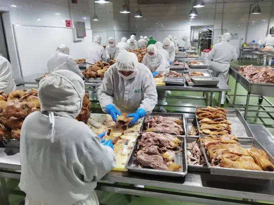 Wholesale Bulk IQF Frozen Boneless Roasted Duck with Halal