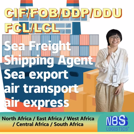 FCL/LCL Sea Shipping Services From China to Angola