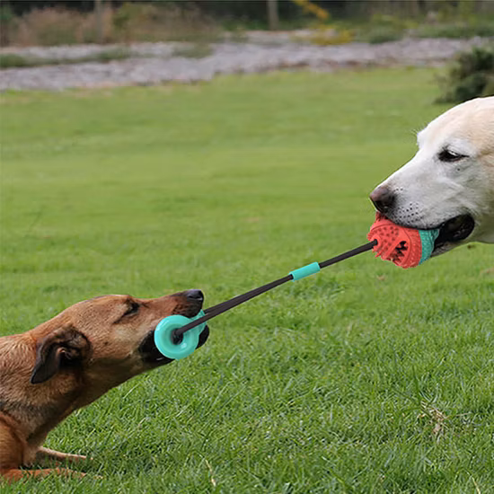 New Design Rolling Dog Play Ball Puzzle and Chew Toy for Pets Treats Rubber Ball Toy Infinite Scrolling Dog Toys
