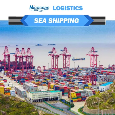 Sea Shipping Agent From China to Georgia