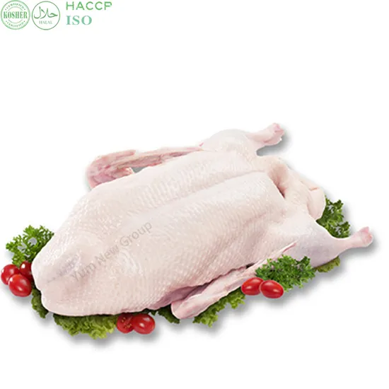 Premium Halal Frozen Headless Whole Duck in Individual Pack with Competitive Price for Easy Cooking 